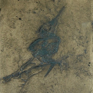 Réplica de pássaro (Grube Messel) com qualidade de museu; Fóssil animal, impressão, extinto, fósseis, animais, presente, esqueletos, azulejos
