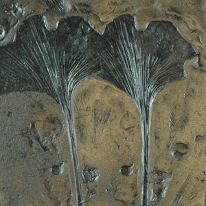 Ginkgo Fossil Replica in Museum Quality gift. imprint plant fossils tile tiles
