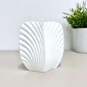 May include: A white, shell-shaped ceramic vase with a textured, ridged surface. The vase is on a light-coloured surface, with a small potted plant in the background. The vase has a unique, decorative design.