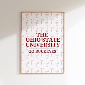 May include: A framed print featuring a light pink bow pattern on a white backdrop. The text "THE OHIO STATE UNIVERSITY GO BUCKEYES" is in red. The frame is a light wood colour.