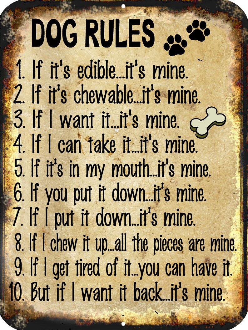 Dog Rules Funny Novelty Metal Sign 9x12 / Animal Pet Owners Etsy Canada