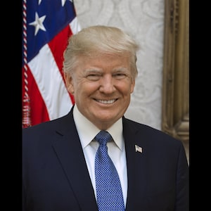 Donald J. Trump 45th President of the United States Archival Quality Photograph Print