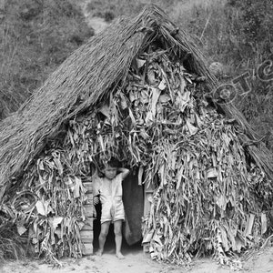 May include: A young child stands in the doorway of a small, makeshift hut made of woven branches and leaves.