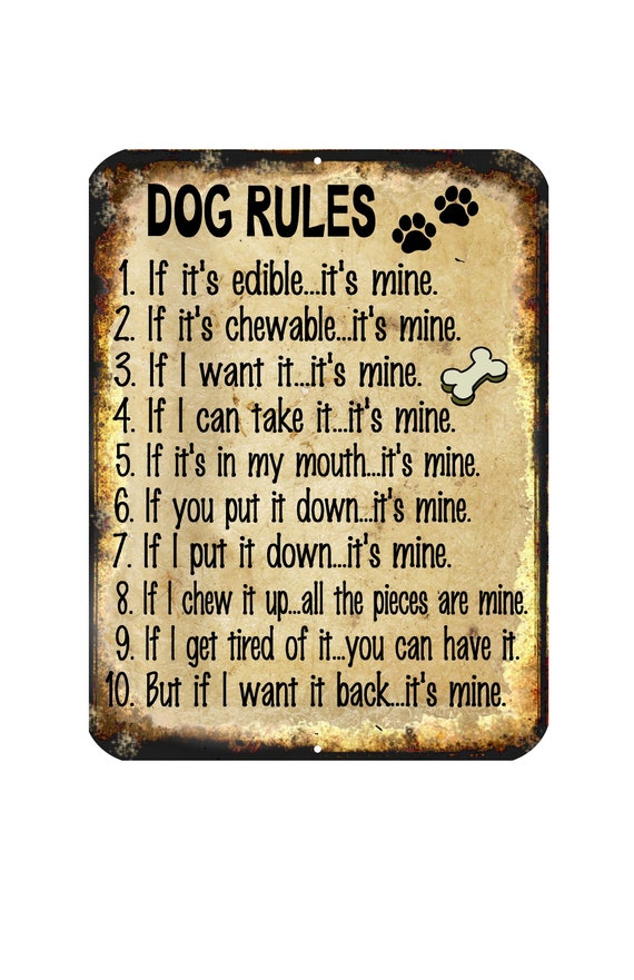 Dog Rules Funny Novelty Metal Sign 9x12 / Animal Pet Owners Etsy
