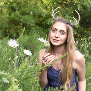 Faun/Fawn Antlers