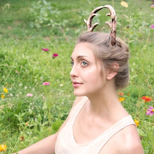 Deer Antlers