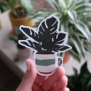 Monstera Plant Sticker