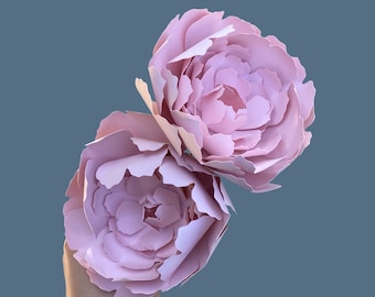 Blush Paper Peony