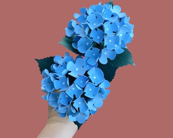 Blue Paper Hydrangea