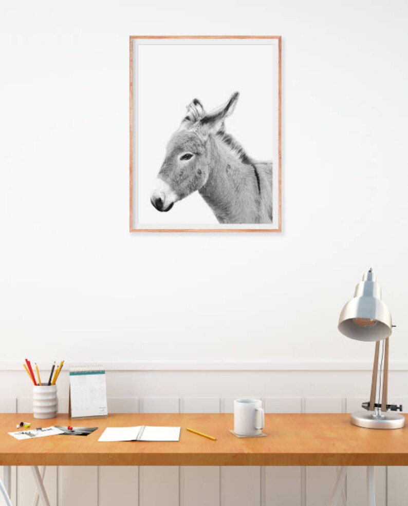 Donkey printable art donkey wall decor farm animal print Etsy