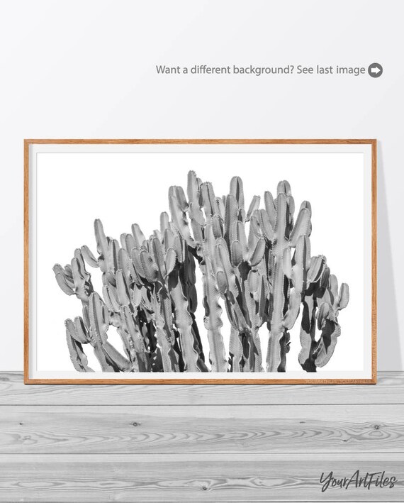 Black And White Cactus Wall Art Greysacle Cacti Print Etsy