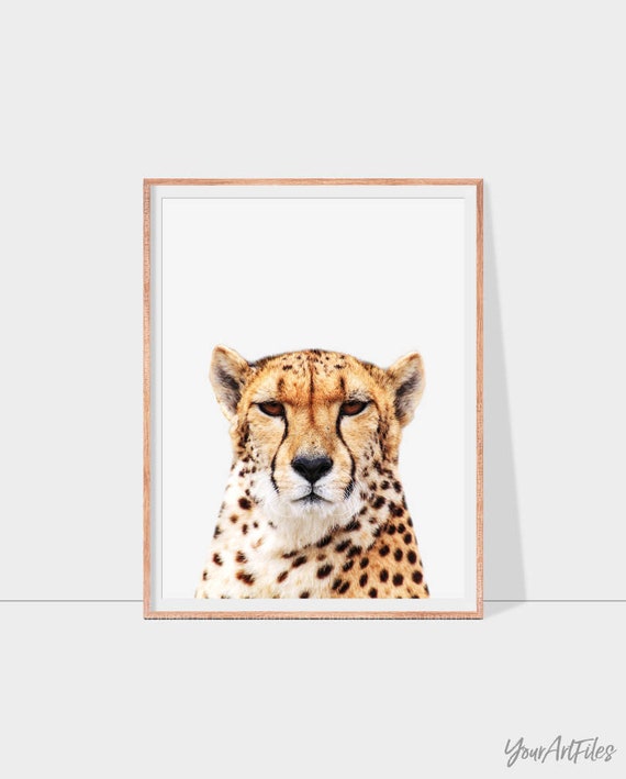 Cheetah Printable Art Cheetah Wall Art Cheetah Wall Decor In Etsy