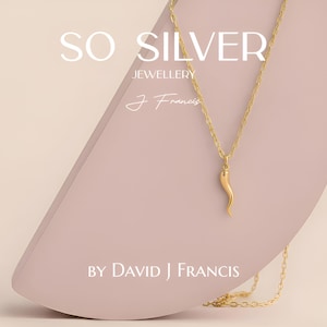 Puede incluir: Un collar dorado con un colgante en forma de cuerno, sobre un fondo rosa. El texto "SO SILVER JEWELLERY" y "BY DAVID J FRANCIS" son visibles. El collar es el punto focal, mostrando su diseño.