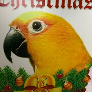 NEW! Jandaya Parakeet / Jenday Conure Parrot Exotic Bird Holiday Christmas Stocking