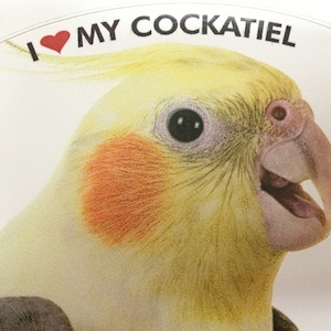 Cockatiel Parrot Exotic Bird Vinyl Decal Bumper Sticker