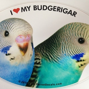 VERKAUF! Wellensittich Wellensittich Papagei Exotischer Vogel Vinyl Aufkleber Autoaufkleber