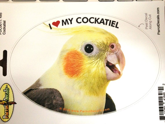Lilac Crowned Amazon Parrot Exotic Bird Vinyl Decal Bumper Sticker