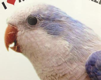¡OFERTA! Adhesivo de vinilo para parachoques con diseño de periquito monje azul (cotorra monje).
