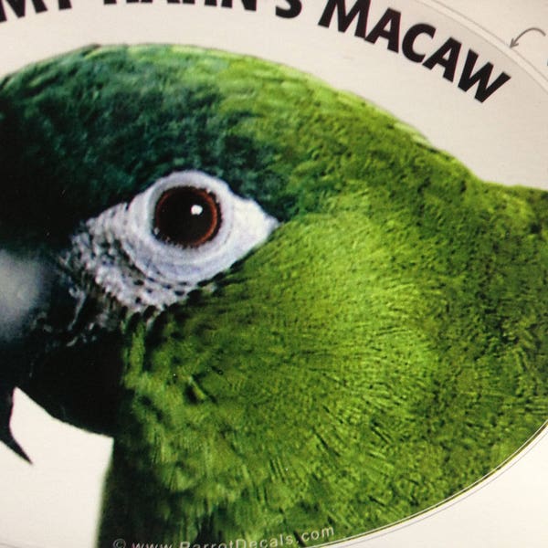 Hahn's Macaw (Red Shouldered Macaw) Parrot Exotic Bird Vinyl Decal Bumper Sticker