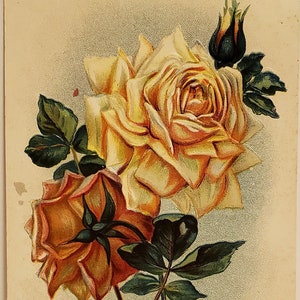 Cartolina Altri saluti generali