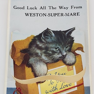 Postal Inglaterra Somerset Weston-super-Mare Cat Parcel con Foldout Photos No. 1986