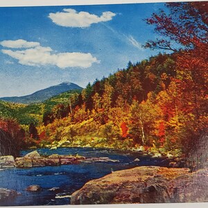 May include: A postcard depicting a picturesque scene of a river winding through a woodland with autumnal colours. The river is blue and the trees are a mix of green, yellow, orange, and red. A mountain peak can be seen in the distance.
