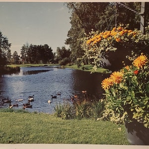 Carte postale Finlande L’île de Kirjurinluoto Finlande