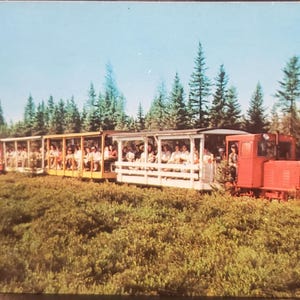 Briefkaart MI The Toonerville Trolley Michigan