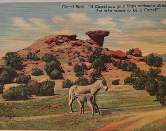Cartolina postale NM Camel Rock Nuovo Messico