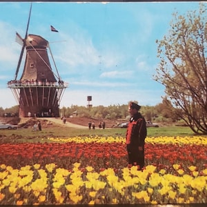 Pocztówka MI De Zwaan Wiatrak Holland Michigan