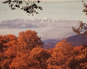 Carte postale CA Californie du Sud Old Baldy et San Gabriel Mountains Californie