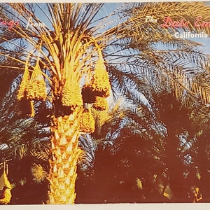 Carte postale CA Salutation de The Date Empire California