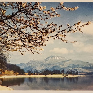 Carte postale Royaume-Uni Écosse Loch Lomond et Ben Lomond