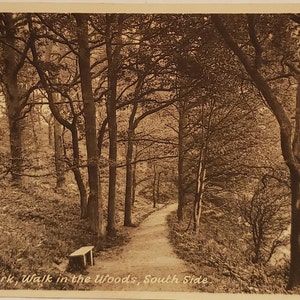 May include: A black and white photo of a path through a wooded area. The path is lined with trees and there is a bench on the side of the path. The caption reads "Reigate Park, Walk in the Woods, South Side."