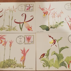 Maximale Postkarte 1984 Orchideen - Wilde Pink, Frauenschuh, Pazifische Calypso, und sich ausbreitende Pogonia