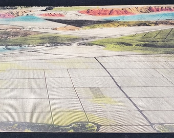Postcard HI Hawaiian Pineapple Fields Hawaii