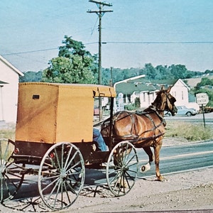 Postal PA Amish Caballo y Buggy Pensilvania País Holandés Pensilvania