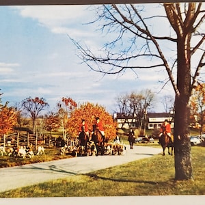Carte postale VA Riding with the Hounds on a Virgina Foxhunt