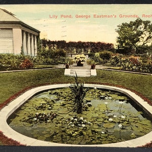 Carte postale NY Lily Pond George Eastman’s Grounds Rochester New York