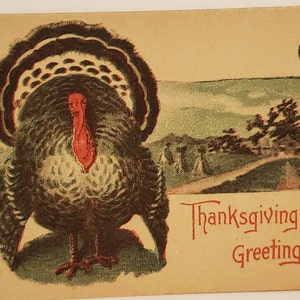 Cartolina auguri di ringraziamento natalizi