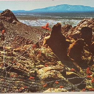 Cartão Postal TX Tocha Vermelha Flamejante Texas