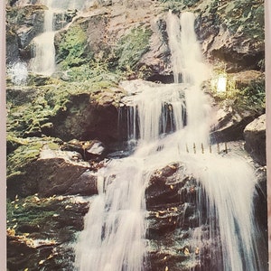 Cartão Postal VA Dark Hollow Falls Skyline Drive Virgina