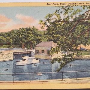 Carte postale RI Seal Pond Williams Park Providence Rhode Island Curteich Lin