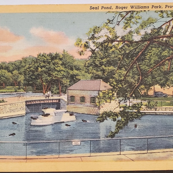 Post Card RI Seal Pond Williams Park Providence Rhode Island Curteich Linen