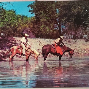 Cartão Postal TX Texas Rangers em Quarter Horses Texas