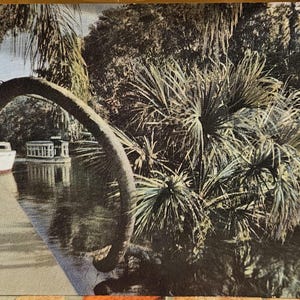 Könnte beinhalten: Vintage Postkarte mit einer Wasserwegszene mit Booten und üppiger Vegetation. Ein gebogener Baumstamm wölbt sich über dem Wasser und rahmt die Boote und das umliegende Grün ein. Das Bild hat ein nostalgisches, gealtertes Aussehen.