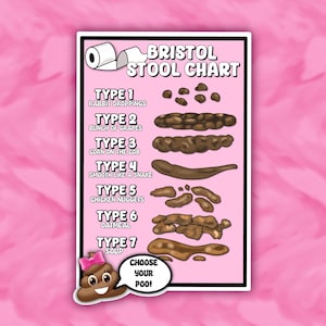 Pink Bristol Stool Chart Sticker: Funny Medical Humor Decor