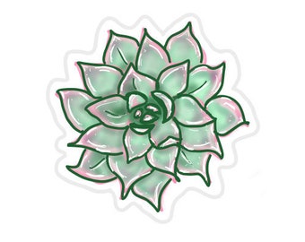 Watercolor Succulent Sticker: Matte Vinyl Plant Decal