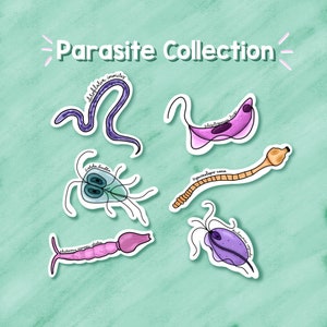 Parasite Sticker Collection, Gift for Parasitologist, Biology Stickers, Science Stickers, Parasitology, Parasites, Laptop Stickers, Decals