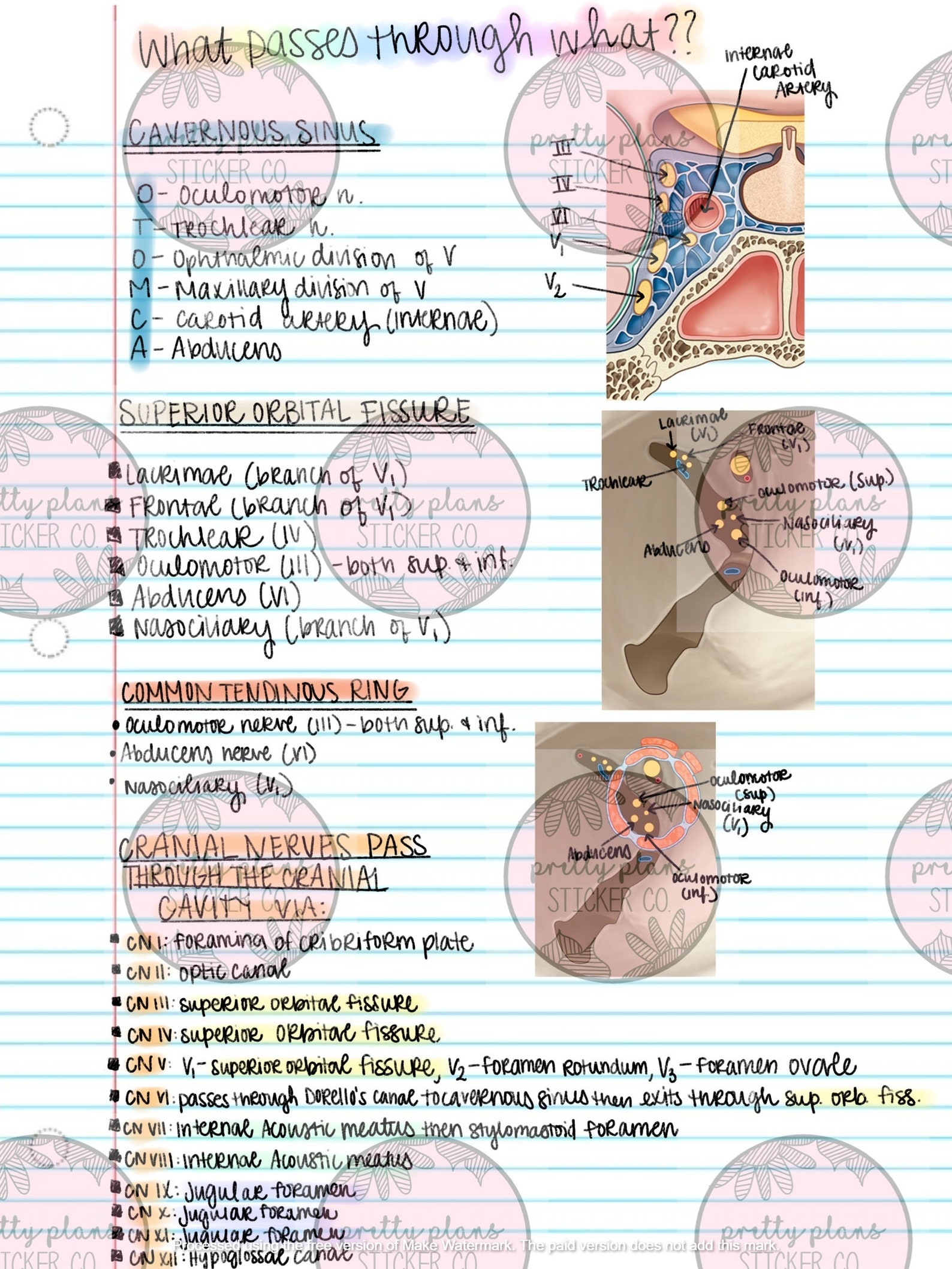 Neurology Notes: Med School Quick Reference Guide (PDF) - Etsy